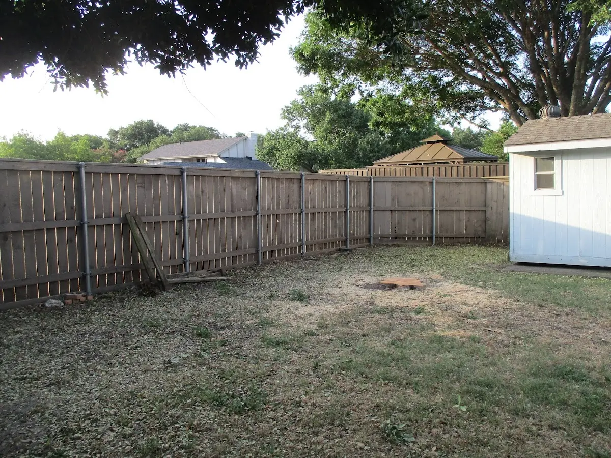 Cleared yard after professional tree removal in Houghton