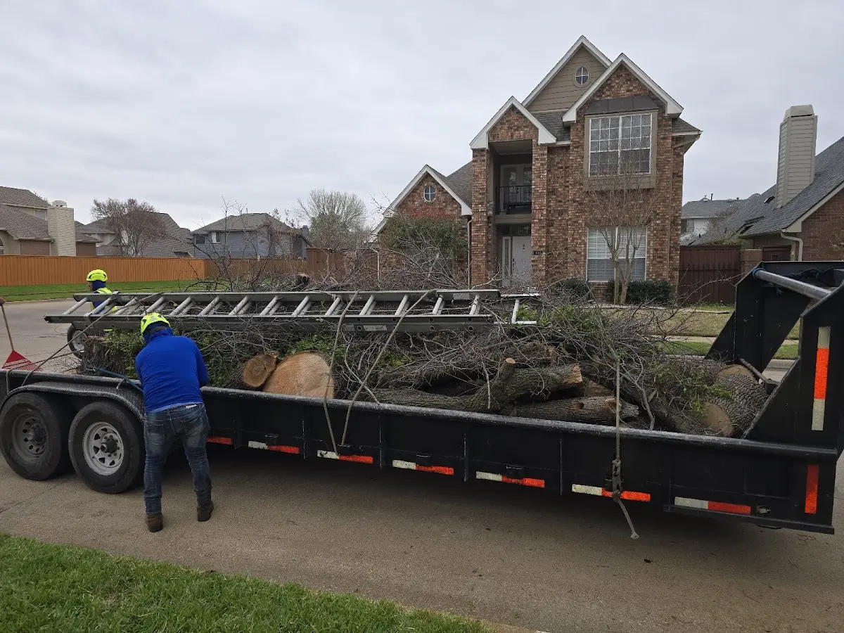 Expert Tree Removal with proper safety equipment in Houghton